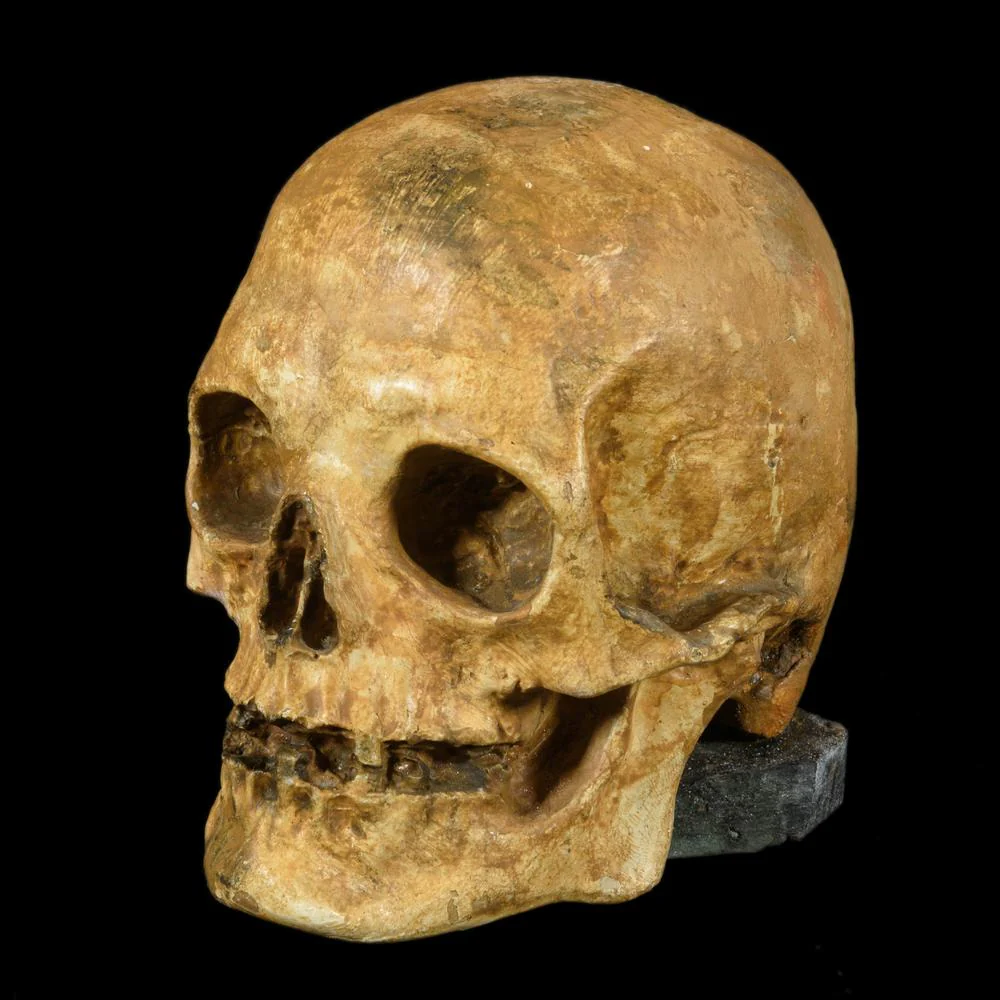CRANE MEMENTO MORI - Image 2
