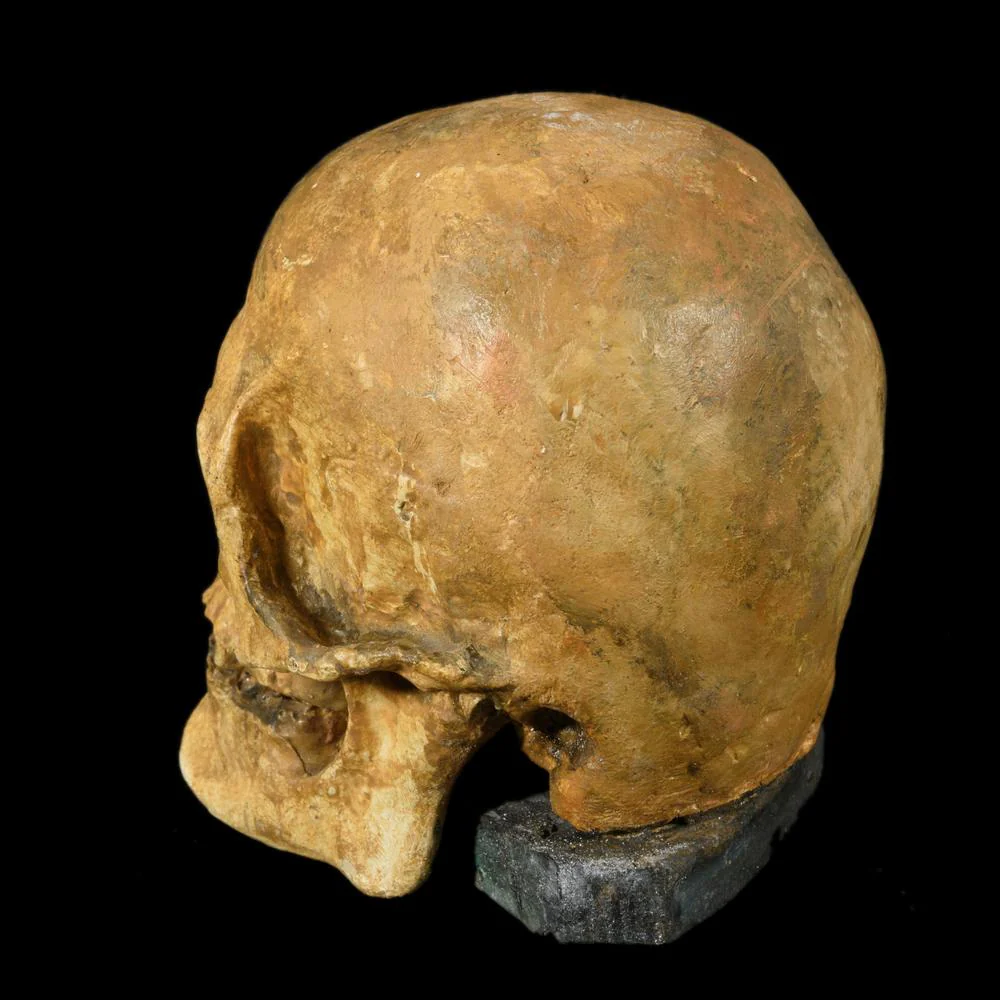 CRANE MEMENTO MORI - Image 3