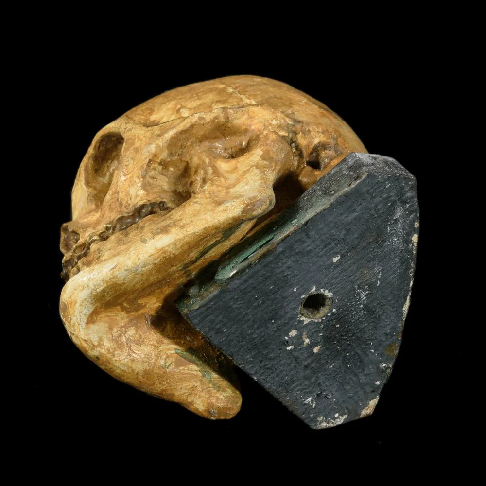 CRANE MEMENTO MORI - Image 4