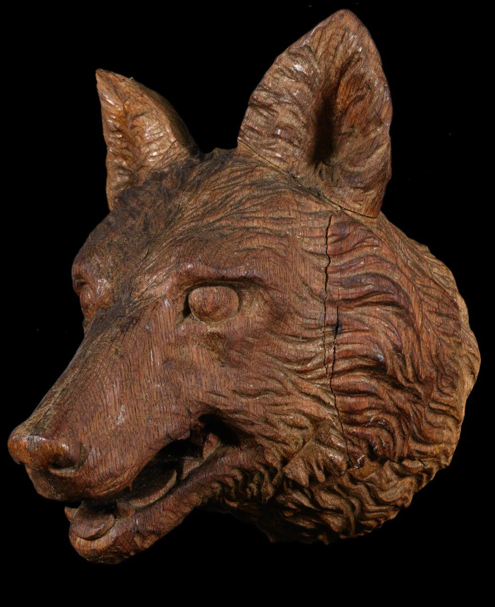 TETE DE LOUP FORÊT-NOIRE - Image 3
