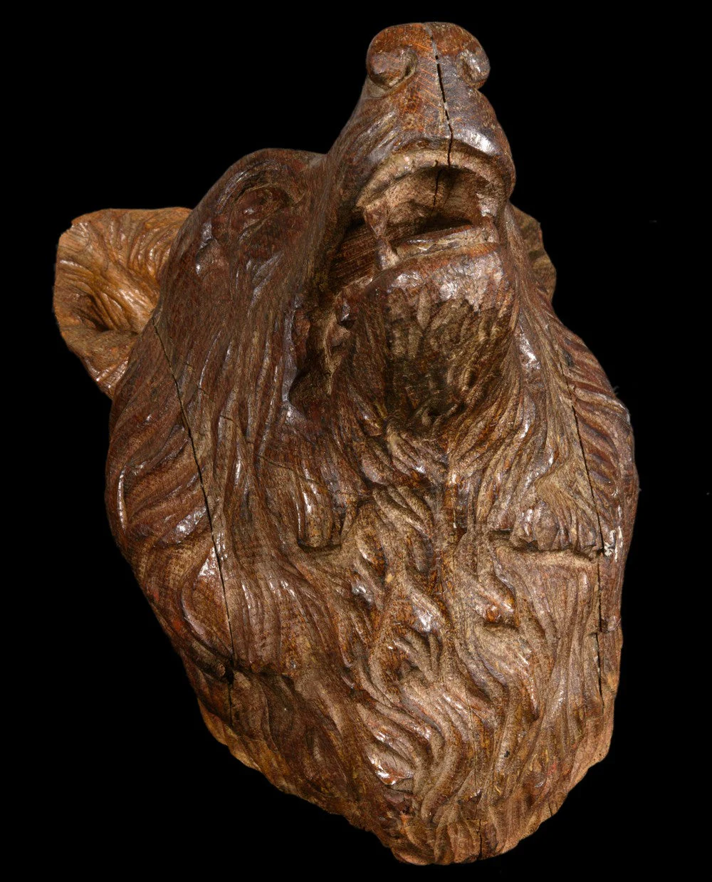 TETE DE LOUP FORÊT-NOIRE - Image 4