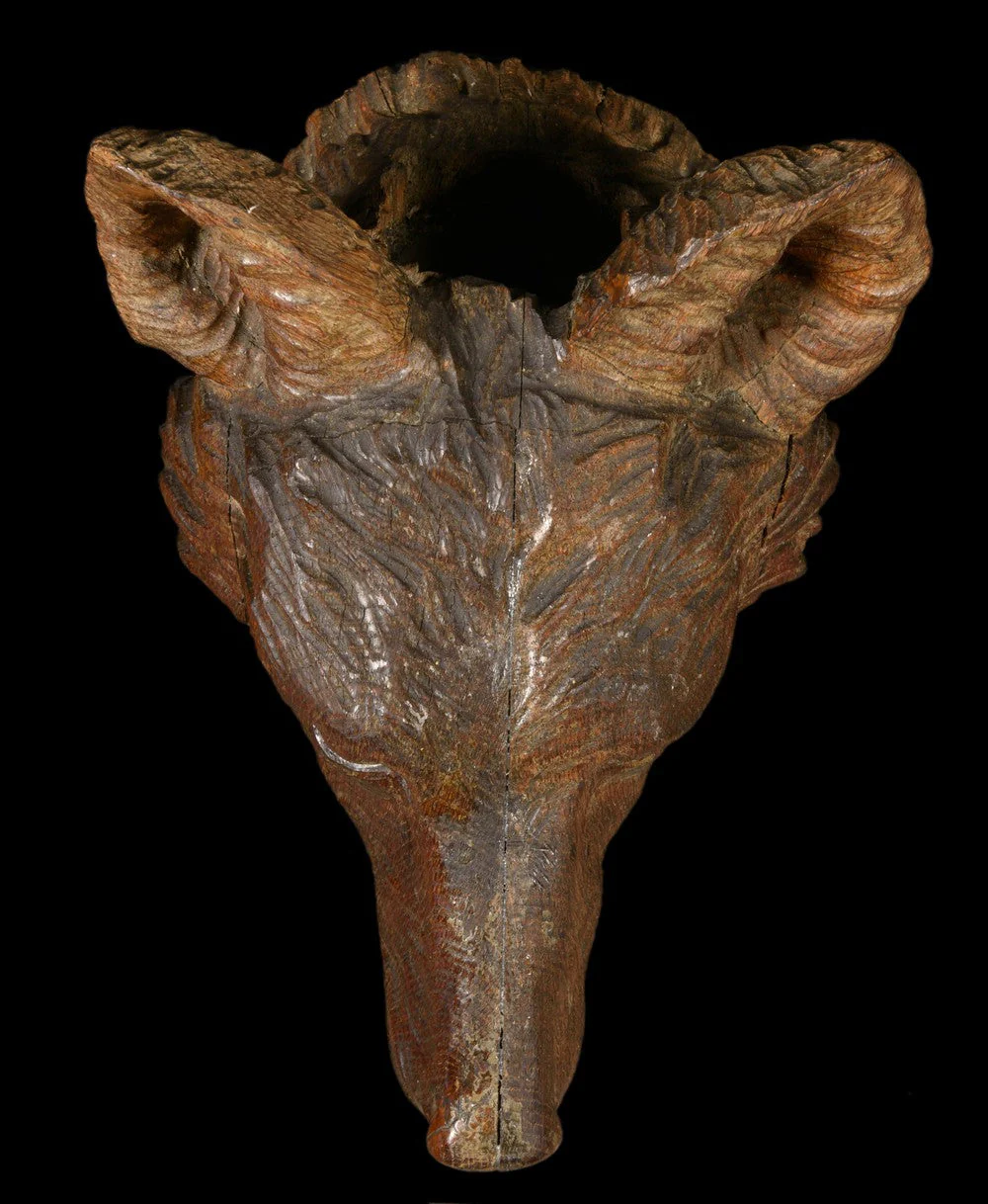 TETE DE LOUP FORÊT-NOIRE - Image 5