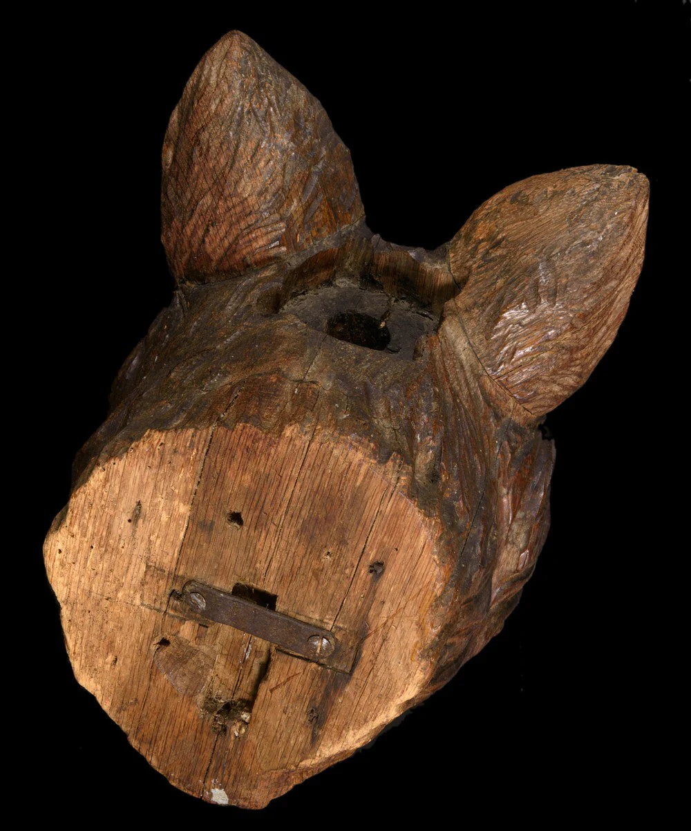 TETE DE LOUP FORÊT-NOIRE - Image 7